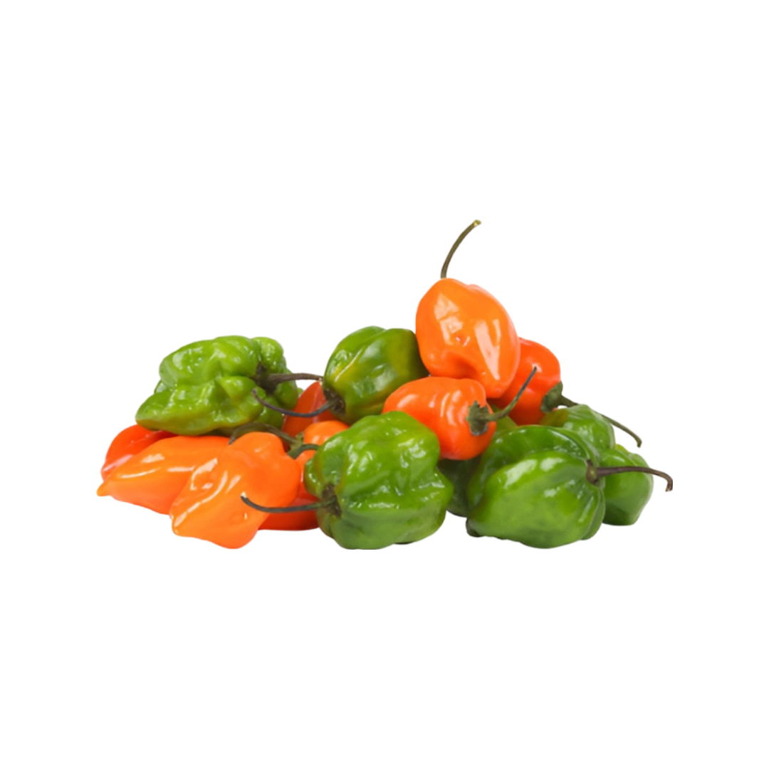 Chile Habanero