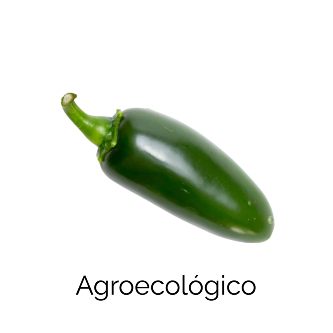 Chile Jalapeño