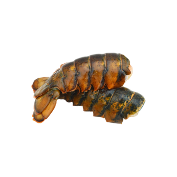 Cola de Langosta 450g Do Mare