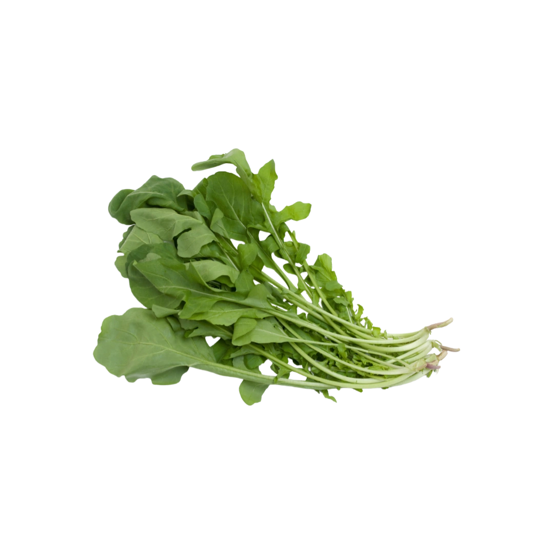 Arugula en Manojo