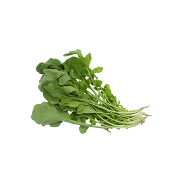 Arugula en Manojo