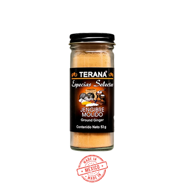 Jengibre Molido Terana 53g