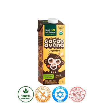 Bebida Real Natural sabor Avena Chocolate 1L