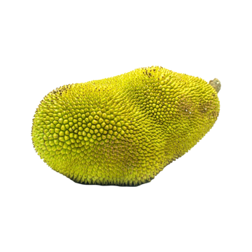 Yaca (Sujeto a Disponibilidad)