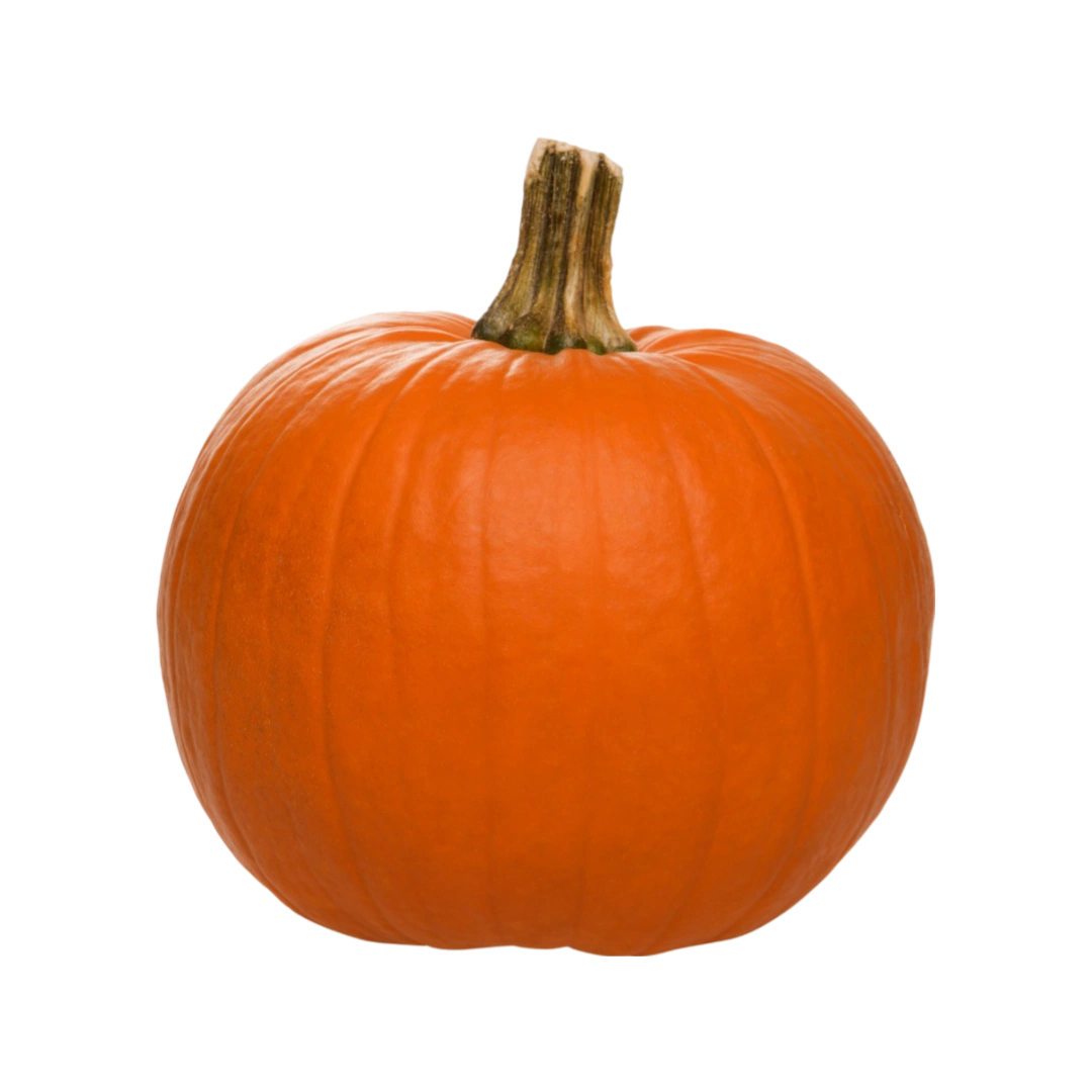 Calabaza Castilla (Halloween)