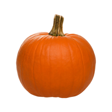 Calabaza Castilla (Halloween)
